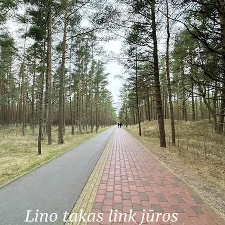 Apartamentai Line 아파트 팔랑가