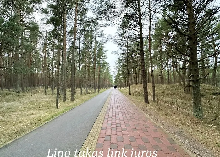 Apartamentai Line 아파트 팔랑가